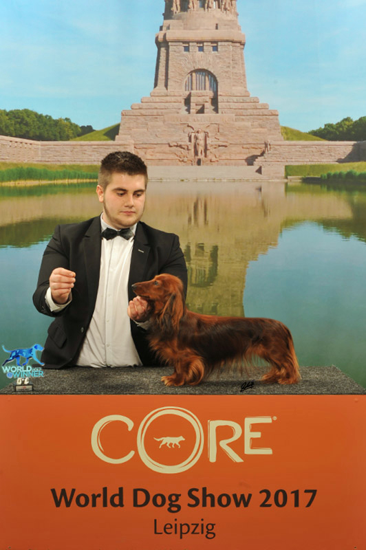 WW17 ANDRÉS Adacais Augus - WORLD DOG SHOW Leipzig 